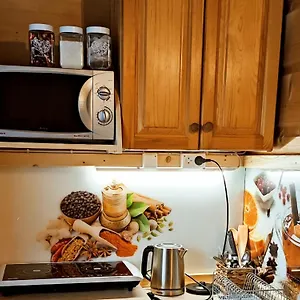 apartament-regionalny-styl.zakopanehotels.org/
